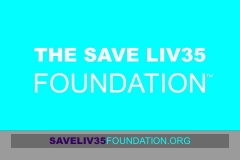 Slide19